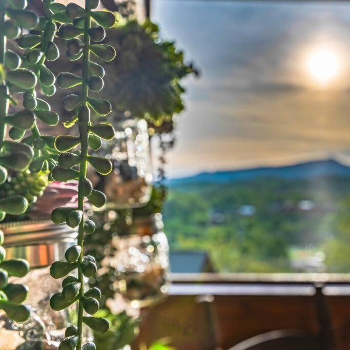 Cozy Cabin In The Smokies!!! Fully Furnished And Complete With Community Indoor And Outdoor Pools And Spas, Game And Fitness Rooms As Well As A Private Hot Tub ピジョンフォージ エクステリア 写真